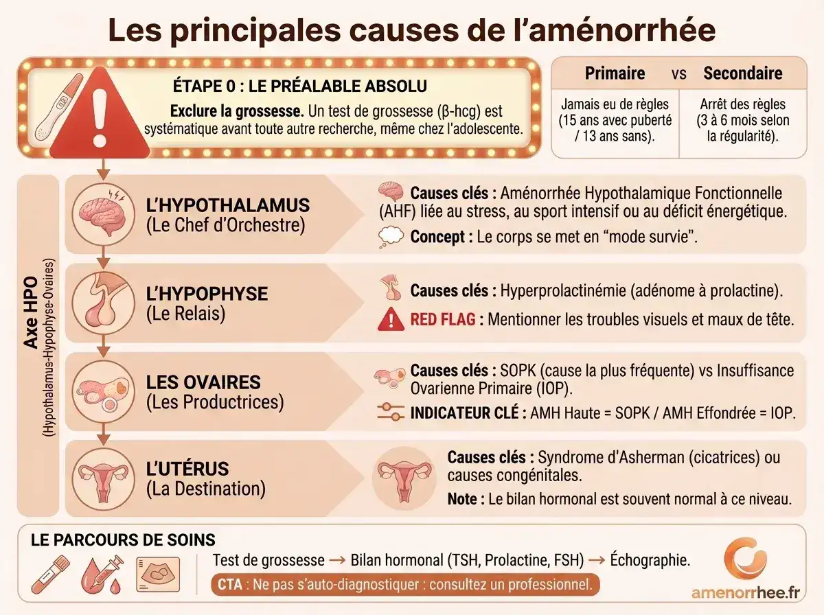 Causes de l'aménorrhée par niveau anatomique : hypothalamus, hypophyse, ovaires, utérus et bilan hormonal à réaliser